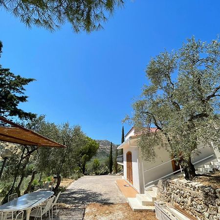 Colori Del Sud - Residence Mattinata Zewnętrze zdjęcie